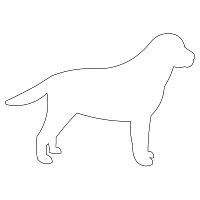 lab dog outline 001